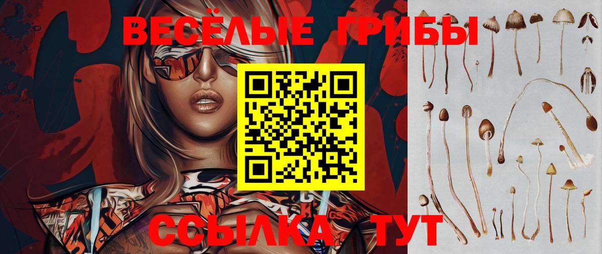 Кимовск  Галлюциногенные грибы мицелий  Вход с VPN 