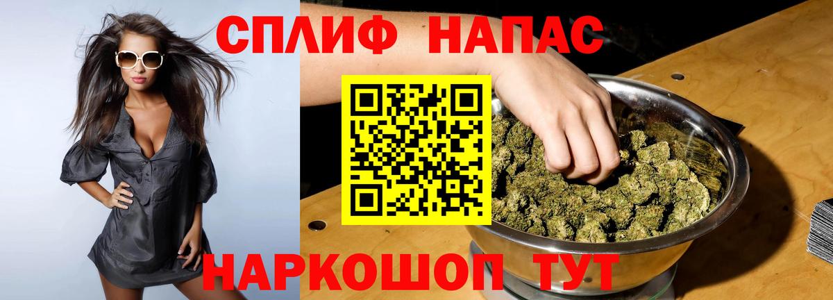Бошки Шишки план Кимовск